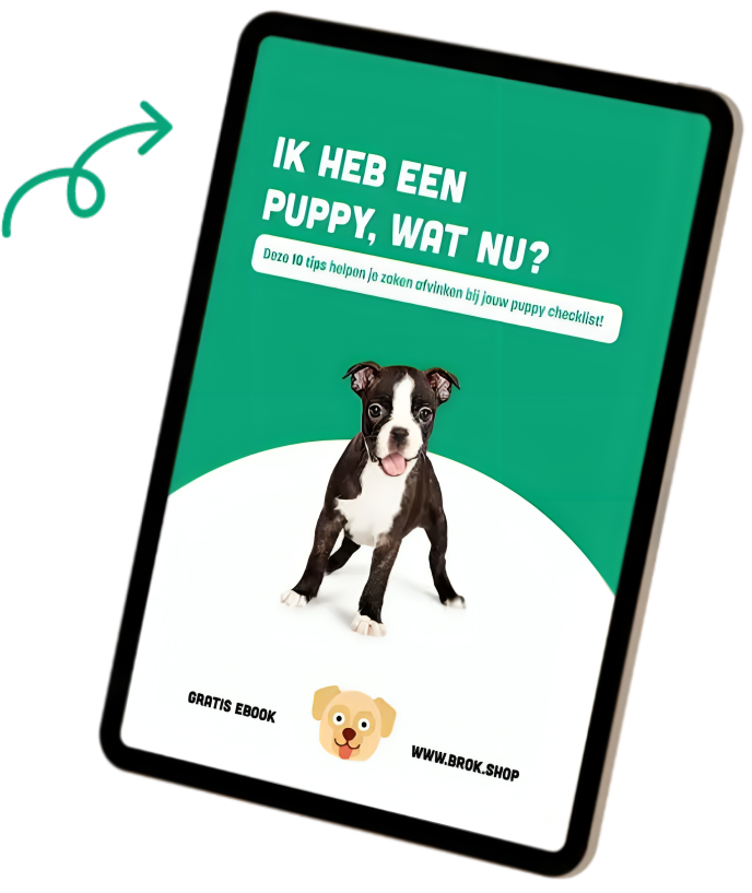 ebook
