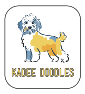 logo kadee doodles