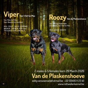 Van de Plaskenshoeve