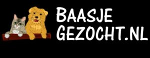 Baasjegezocht.nl | Hond & Kat Adopteren – Herplaatsen